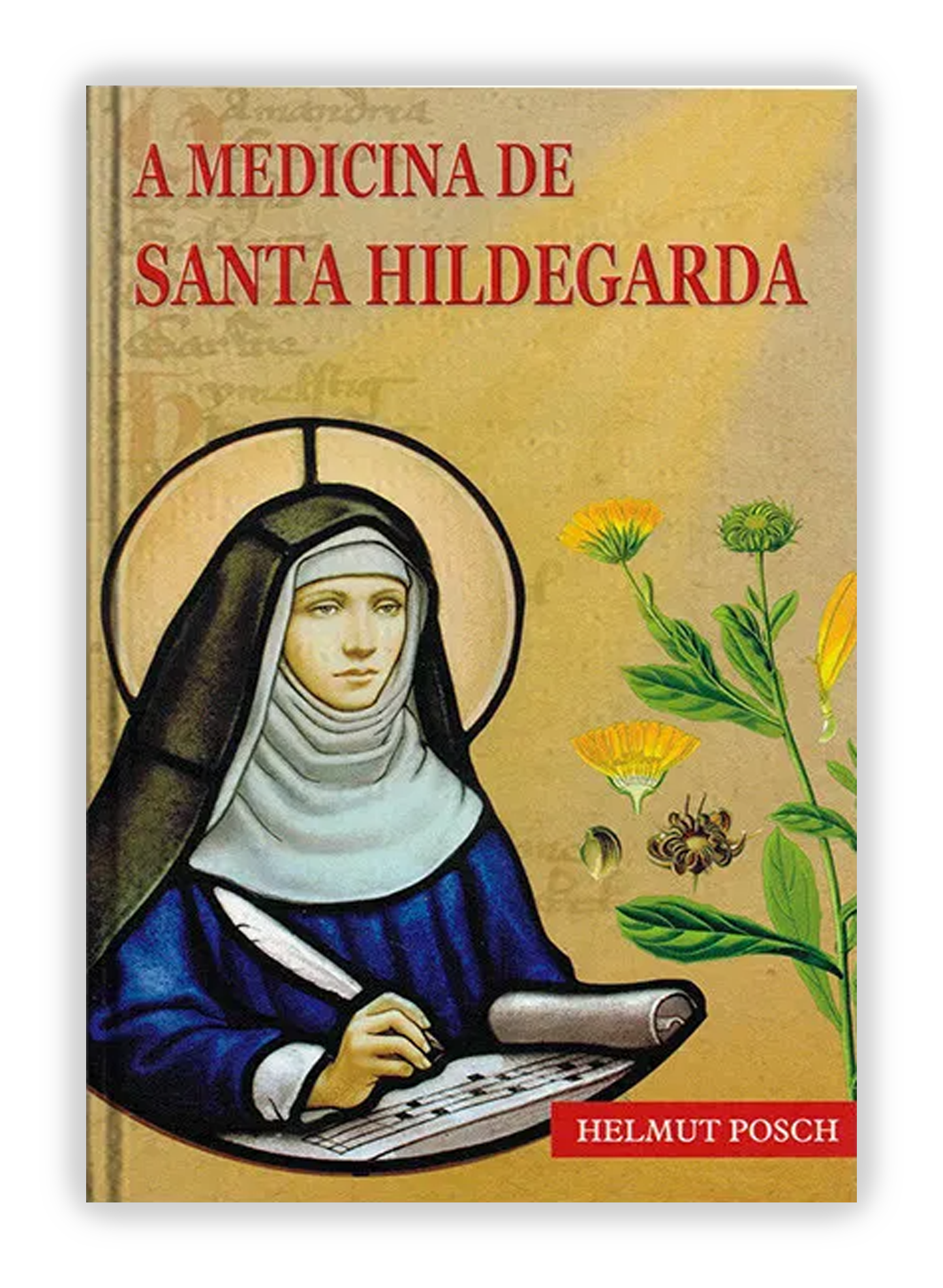 A medicina de Santa Hildegarda