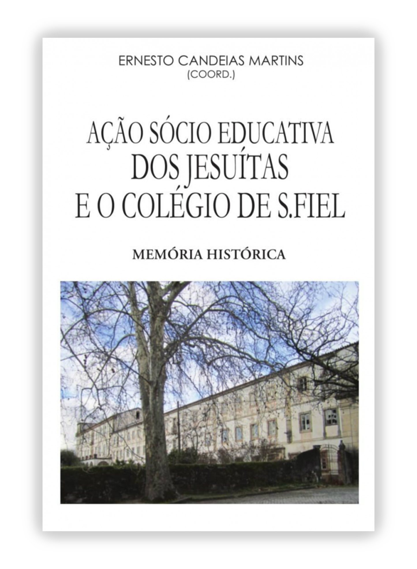 Ação Sócio Educativa dos Jesuítas e o Colégio de S. Fiel