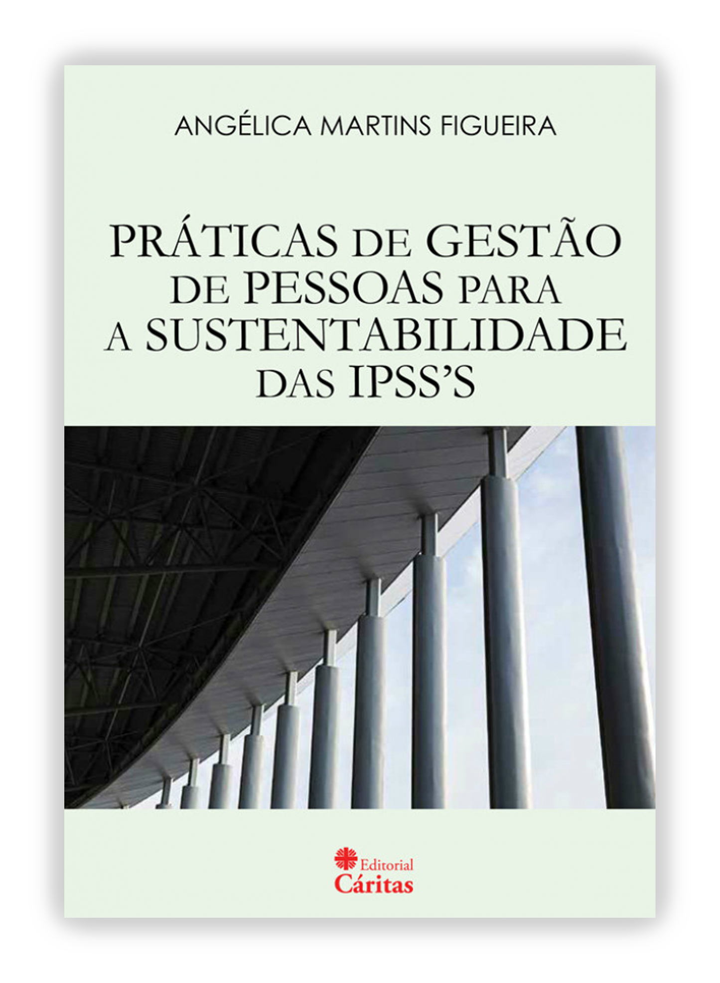 Práticas de gestão de pessoas para a sustentabilidade das IPSS'S