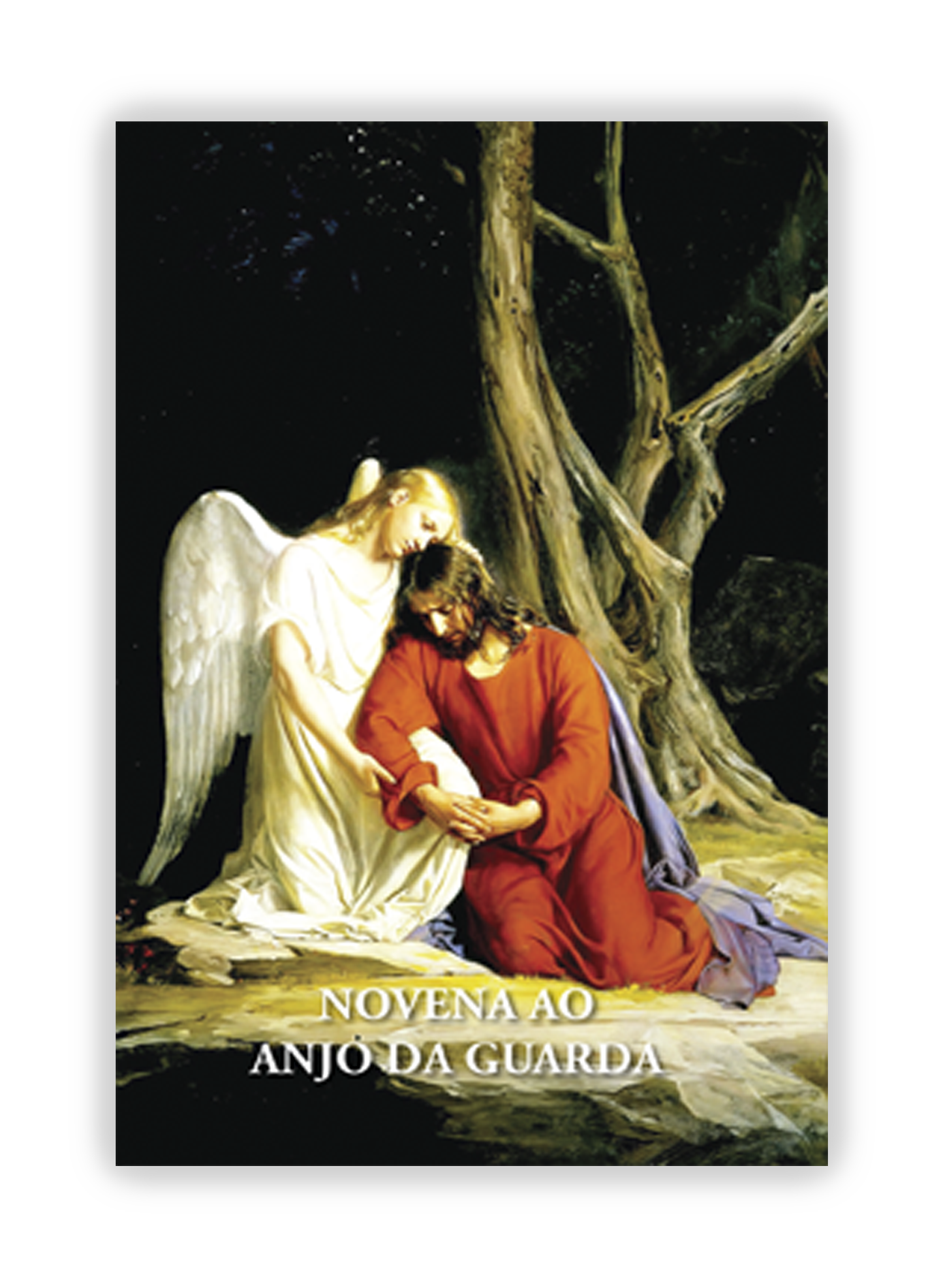 Pagela Novena ao Anjo da Guarda - 5 un.