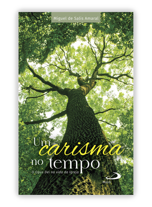 Um carisma no tempo - O Opus Dei na vida da Igreja