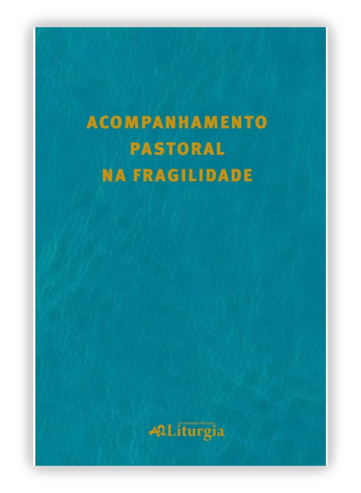 Acompanhamento pastoral na fragilidade